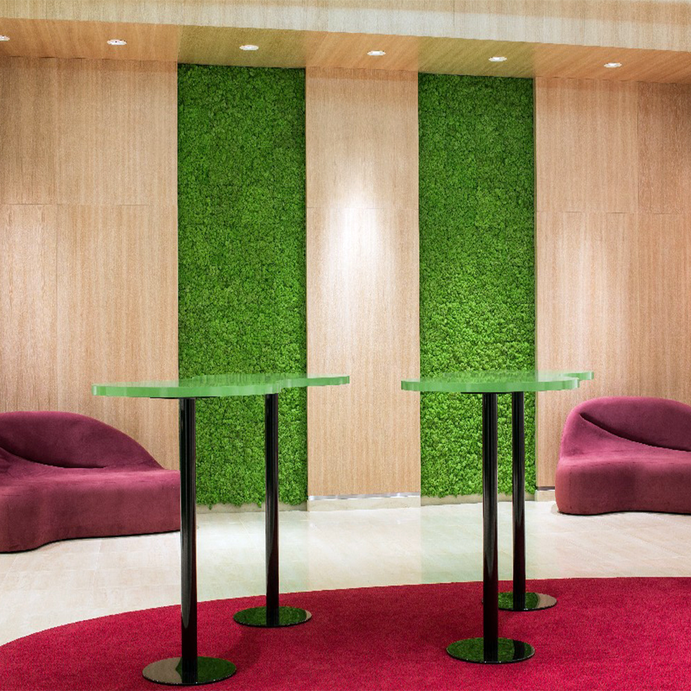 Radisson Blu Hotel